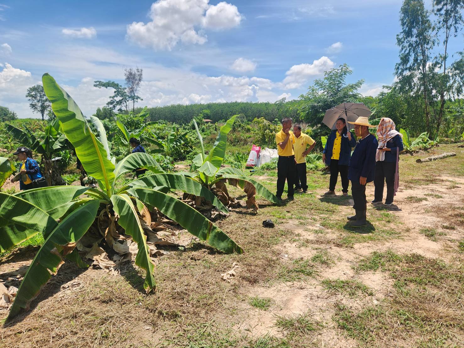 🌾🌾พช.สกลนคร ประชุมสัญจร คณะกรรมการเครือข่าย “โคก หนอง นา”และเจ้าหน้าที่พัฒนาชุมชนจังหวัดสกลนคร