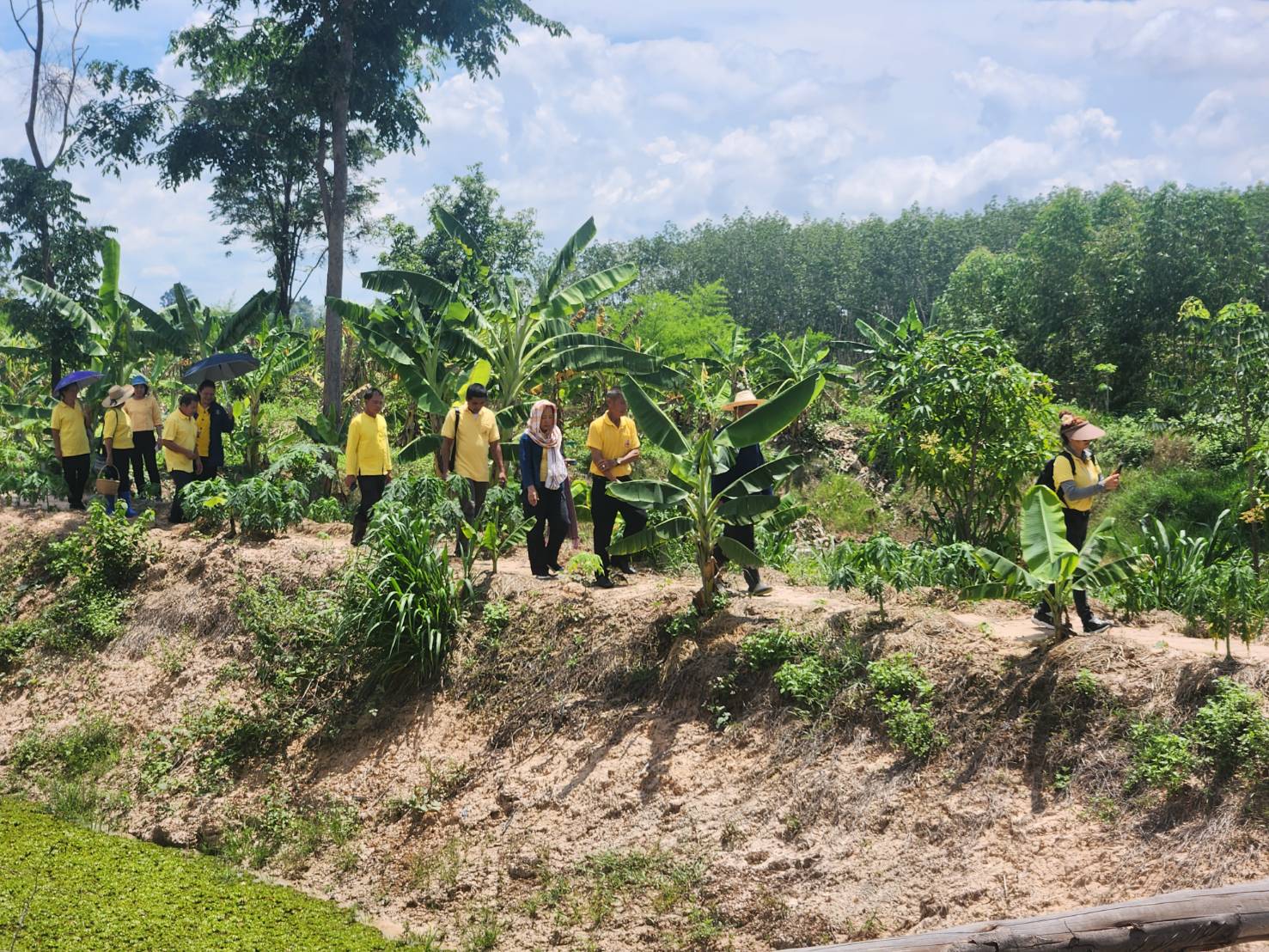 🌾🌾พช.สกลนคร ประชุมสัญจร คณะกรรมการเครือข่าย “โคก หนอง นา”และเจ้าหน้าที่พัฒนาชุมชนจังหวัดสกลนคร