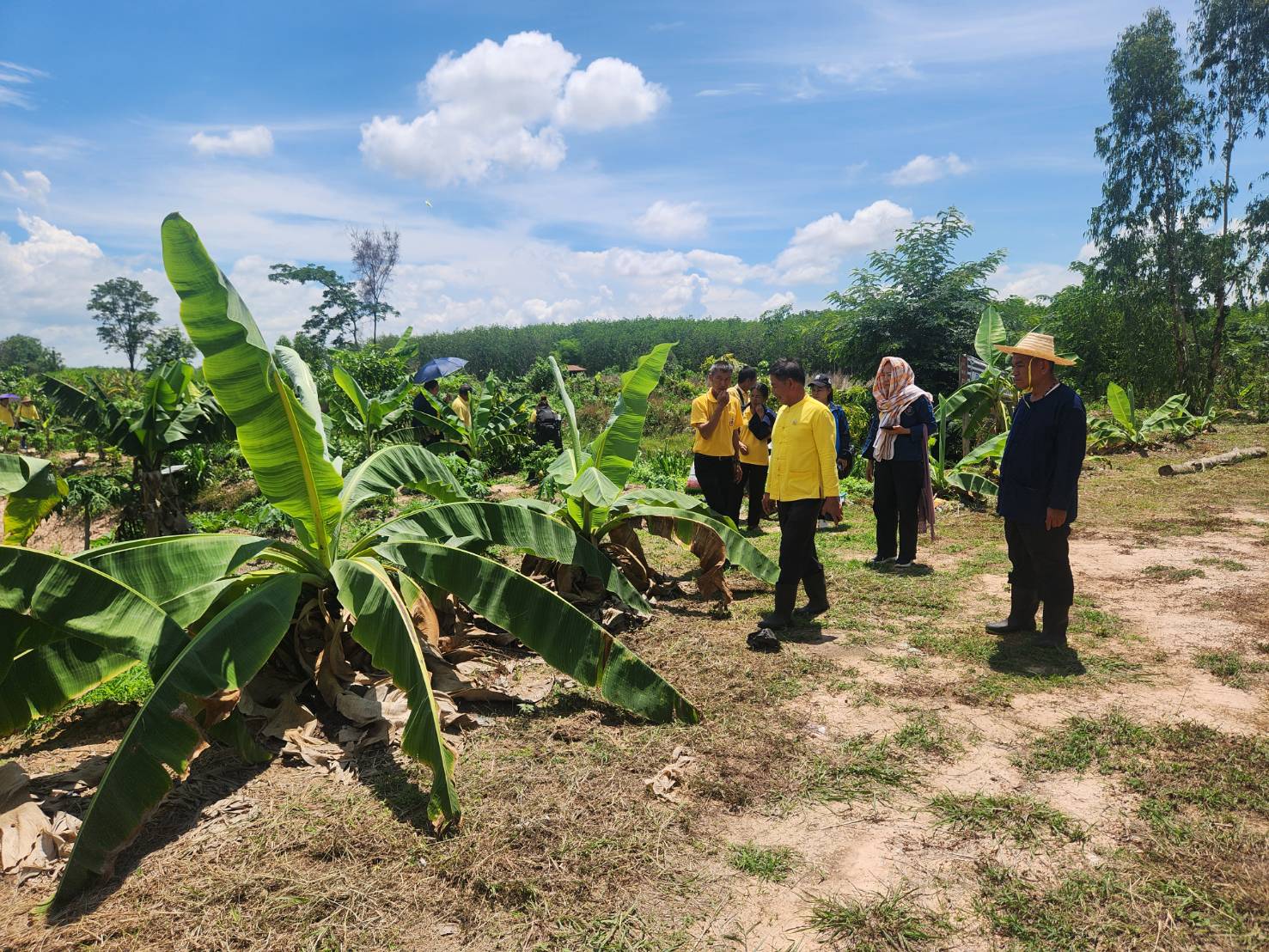 🌾🌾พช.สกลนคร ประชุมสัญจร คณะกรรมการเครือข่าย “โคก หนอง นา”และเจ้าหน้าที่พัฒนาชุมชนจังหวัดสกลนคร